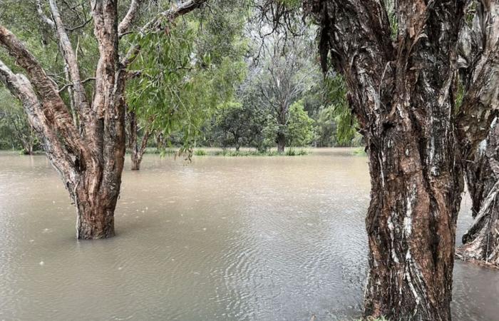 Estado de Queensland afectado por lluvias torrenciales