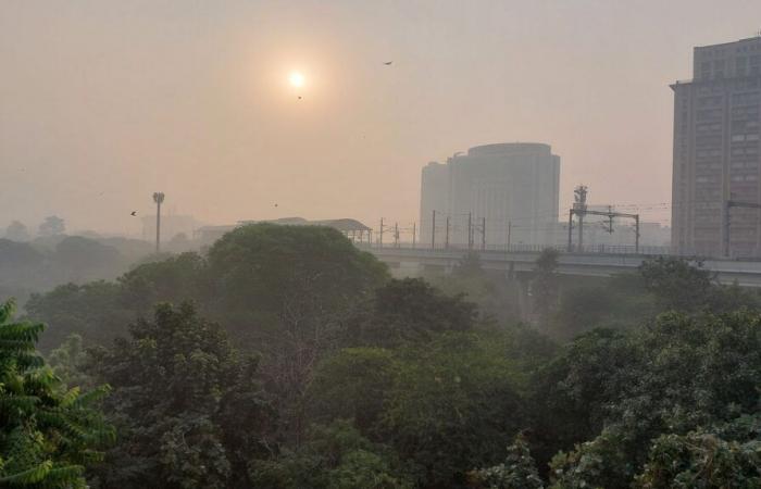 En Nueva Delhi, India, la ira de los padres por la contaminación del aire.