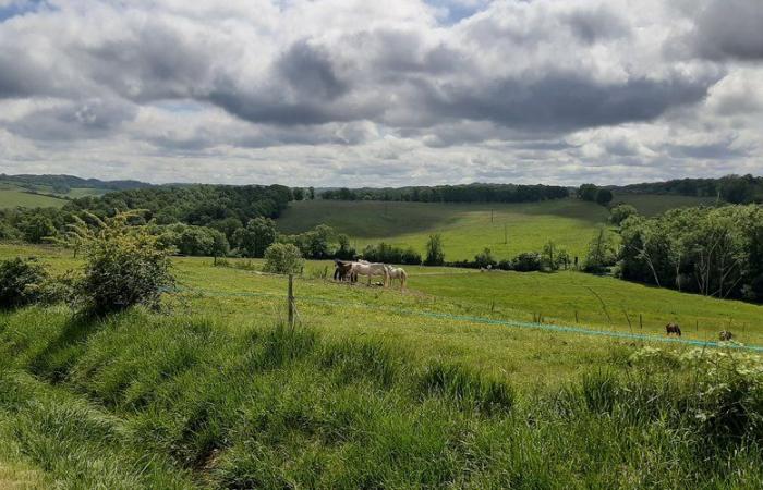 “Hay que proteger el Gers”: el parque agrovoltaico de Beaumarchés está en problemas