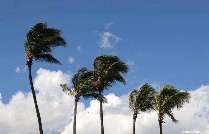 Alerta amarilla, vientos fuertes, de 9 a 19 horas en el Oeste, Sur y Sureste.