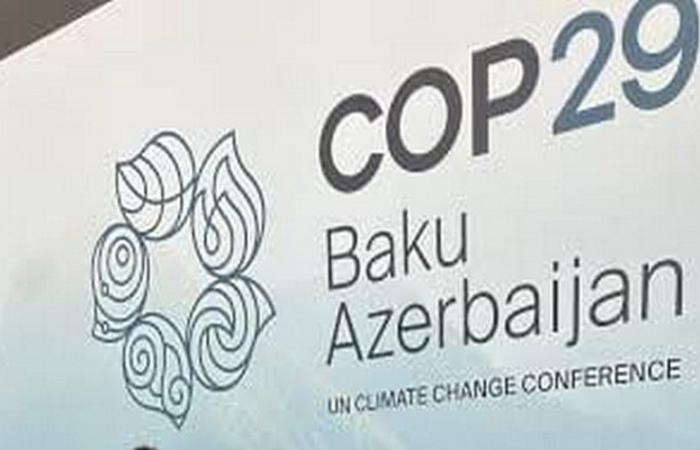 COP29: ¿Qué futuro para los defensores ambientales en África ante la crisis climática? – VivAfrik