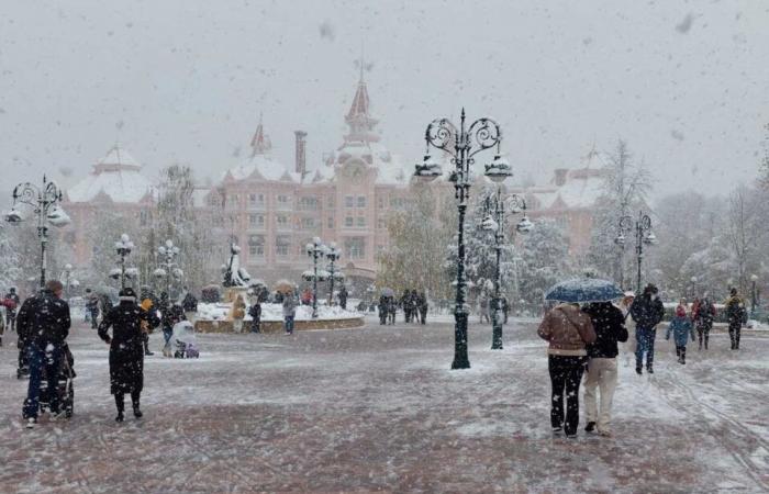 EN FOTOS. De Meaux a Disneyland París, las fotos más bellas de la nieve en Sena y Marne