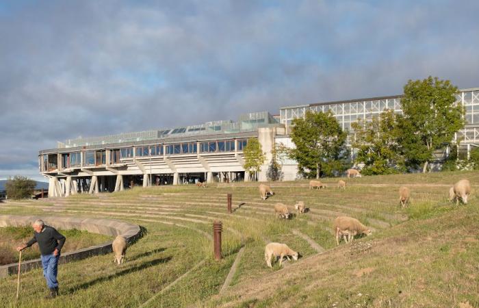 Premio de Arquitectura de Arquitectos Españoles: los ganadores