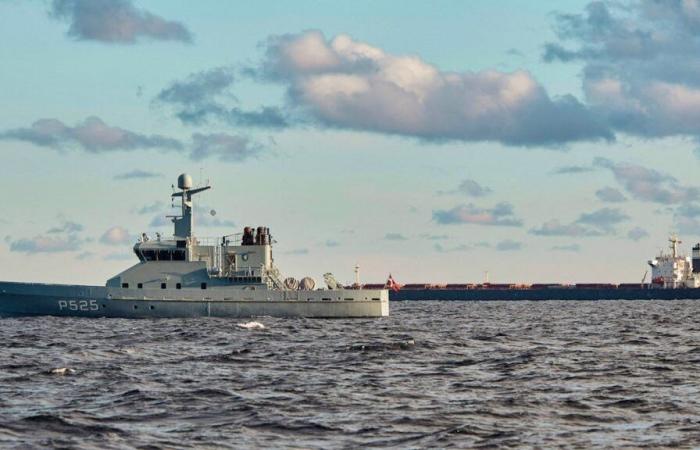 Mar Báltico: fuertes sospechas en torno a un barco chino