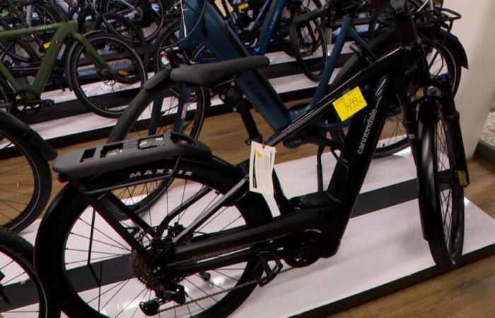 “Un descuento muy bonito”: los precios de las bicicletas están cayendo bruscamente, ¿por qué?