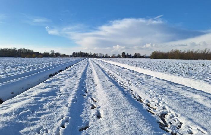 De nieve a 17 grados en dos días