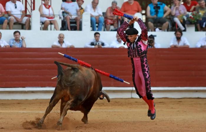 ¿Quiénes son los nominados al Brindis d’or?