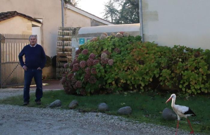 Un extraño okupa se ha instalado en este barrio de Gironda