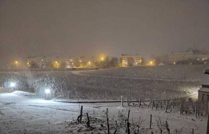 Heladas matinales, cortes de electricidad, transporte público: hacemos balance del episodio de nieve que afectó al Yonne