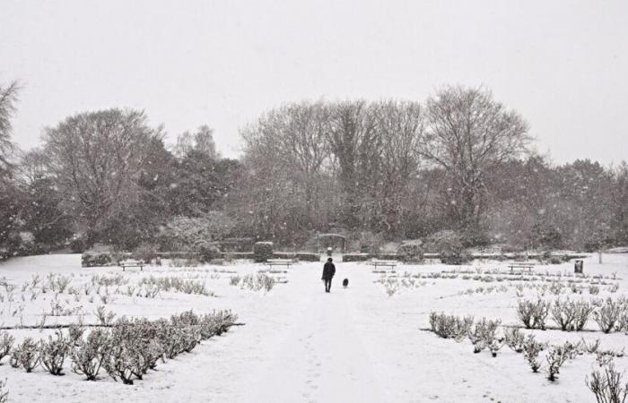 Se insta a los hogares del Reino Unido a comprar 7 artículos antes de las tormentas de nieve del sábado | Tiempo | Noticias