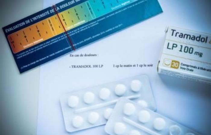 Prescripción segura de codeína y tramadol: los especialistas en dolor advierten contra la “opiofobia”