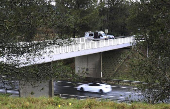 Lanzan piedras a autos desde un puente y matan a una madre: dos menores condenados a 9 años de prisión