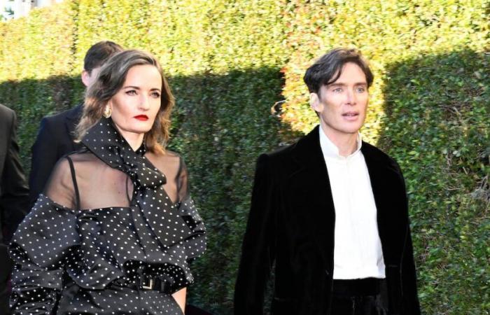 El actor Cillian Murphy y su esposa artista Yvonne McGuinness compran el histórico cine Dingle – The Irish Times