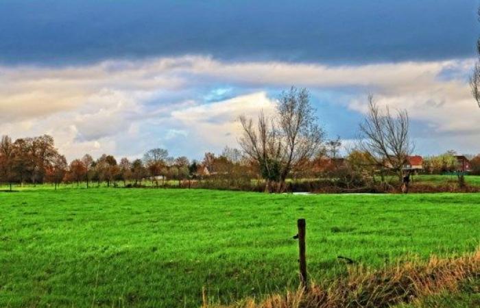 El domingo volverá a ser primavera de repente, pero no por mucho tiempo