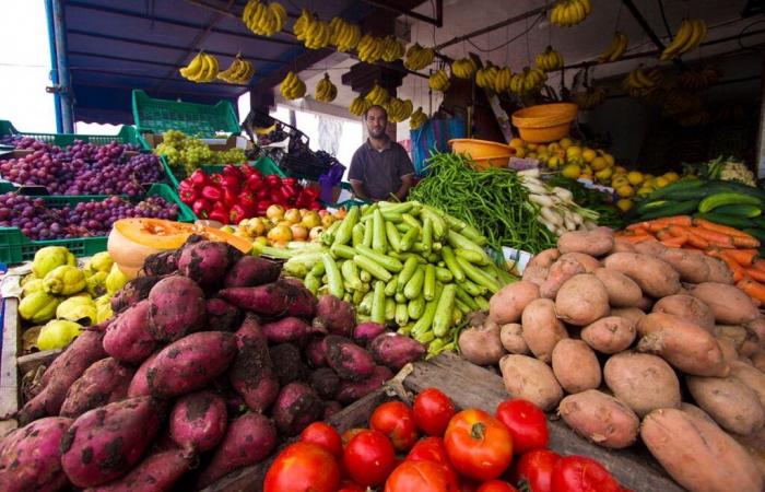 Informe: Los precios de las verduras y los aceites han aumentado y la ‘Rashidia’ es la más cara del país