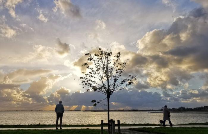 Clima de fin de semana: ¡la temperatura sube bruscamente!