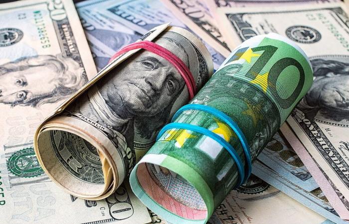 Frente a un dólar poderoso, el euro alcanza su nivel más bajo en dos años