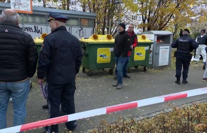 Descubrimiento macabro en Viena: el cuerpo de un bebé desaparecido encontrado en un cubo de basura