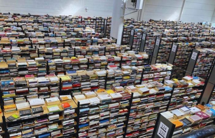 Buen plan. ¡20.000 libros vendidos por 1 euro en un gigantesco almacén de Villeneuve-d’Ascq este sábado!