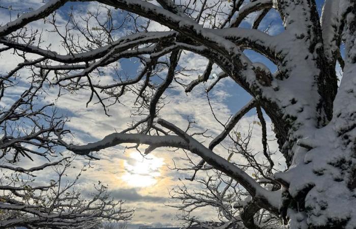 INFORME DEL TIEMPO. Vigilance jaune neige et verglas maintenue samedi, et dimanche… jusqu’à 17 degrés en Bourgogne !