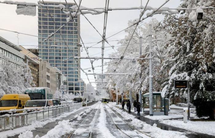 Nieve en la región de Basilea: toda la información y restricciones de transporte público