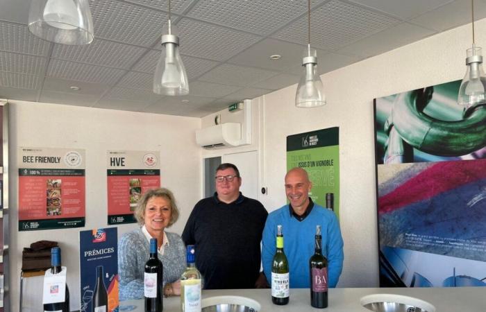 En Lot-et-Garonne, los viticultores de Buzet innovan para afrontar la crisis del vino