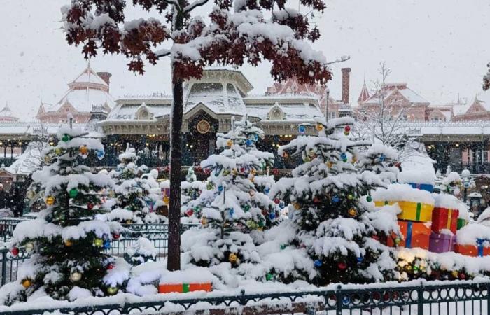 EN FOTOS. De Meaux a Disneyland París, las fotos más bellas de la nieve en Sena y Marne