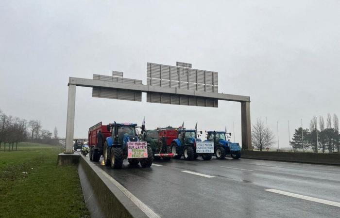 Bloqueo de agricultores en la A43 en Isère: finaliza la manifestación