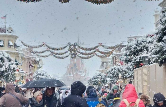 EN FOTOS. De Meaux a Disneyland París, las fotos más bellas de la nieve en Sena y Marne