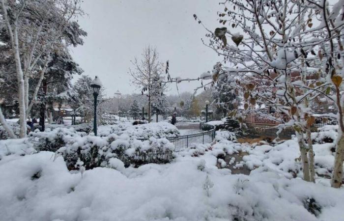 EN FOTOS. De Meaux a Disneyland París, las fotos más bellas de la nieve en Sena y Marne