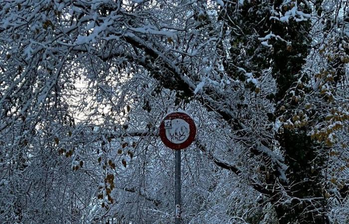 Basilea: Las nevadas provocan interrupciones en el tráfico en el BVB