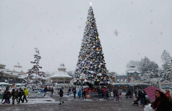 EN FOTOS. De Meaux a Disneyland París, las fotos más bellas de la nieve en Sena y Marne