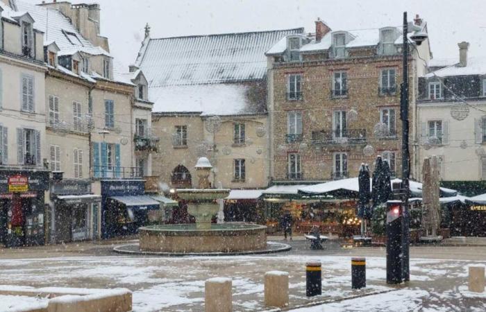 EN FOTOS. De Meaux a Disneyland París, las fotos más bellas de la nieve en Sena y Marne