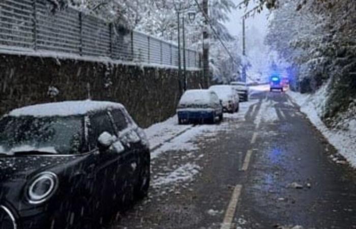 En Yvelines, un barrio entero se queda sin electricidad desde hace 24 horas a causa de la caída de un árbol