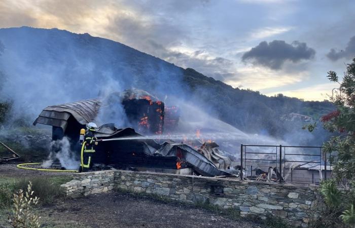 pareja lo pierde todo en incendio de casa