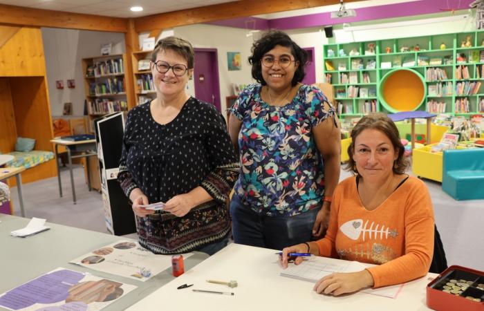 La biblioteca de Châtenoy le Royal obtuvo mejores resultados que el “Viernes Negro” en cuanto a su intercambio de libros. – info-chalon.com