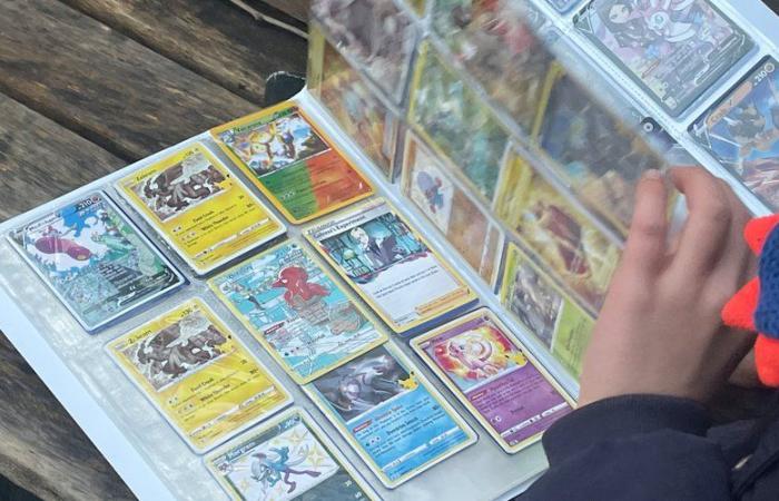 “Para los coleccionistas, es realmente una pepita de oro”: mientras renovaba su casa descubrió cientos de cartas raras de Pokémon