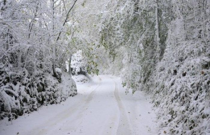 Aeropuerto de Manchester emite advertencia de que los vuelos podrían cancelarse debido al hielo y la nieve | Noticias del Reino Unido