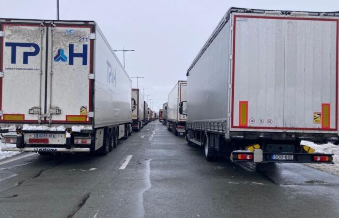 Atrapado en la A36 por la nieve: “Nos dijeron que pasaría gente con café, todavía estamos esperando”