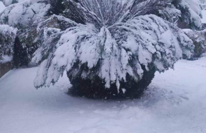 Después de la nieve, muchos residentes se quedan sin calefacción en Orne