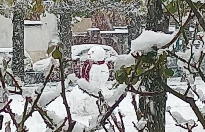 EN FOTOS. De Meaux a Disneyland París, las fotos más bellas de la nieve en Sena y Marne