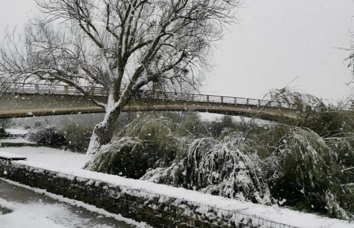 EN FOTOS. De Meaux a Disneyland París, las fotos más bellas de la nieve en Sena y Marne