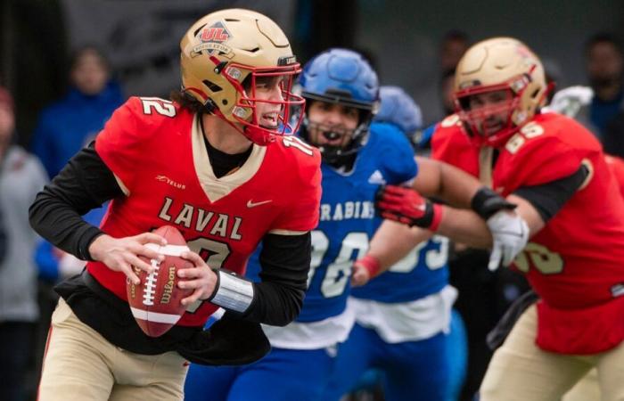 Copa Vanier: Los Rojos y Oro esperan “tener las manos ocupadas”