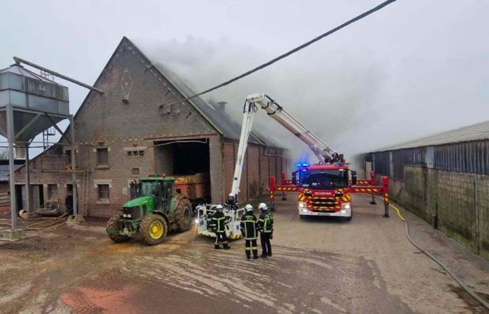 Los bomberos despliegan medios excepcionales.