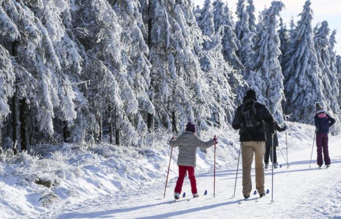 Esquí cubierto: ¿dónde bajar por las pistas de nieve en noviembre en Bélgica?