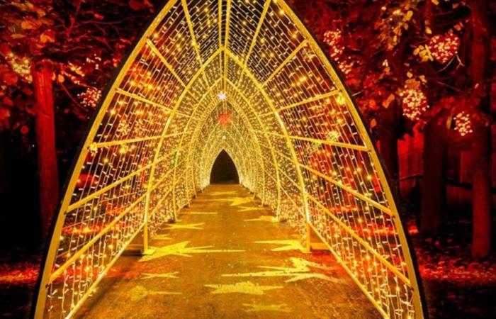 Lumières en Seine, el recorrido iluminado y festivo vuelve a dos pasos de París