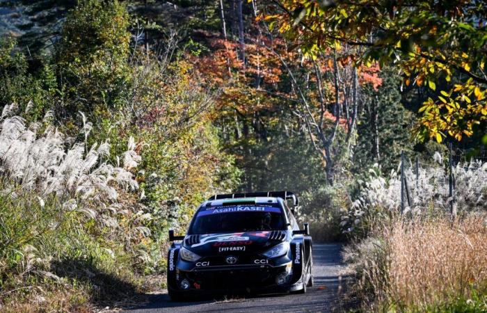 Toyota “puede necesitar el apoyo de Ford” para ganar el título del WRC en el Rally de Japón