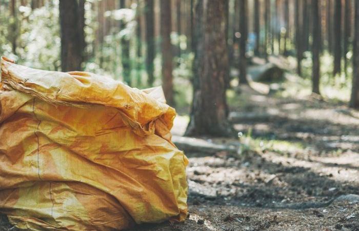 “Completamente doblado”, “con la cara destrozada”… el cuerpo de una mujer de 81 años descubierto en un bolso en un bosque cerca de Blois