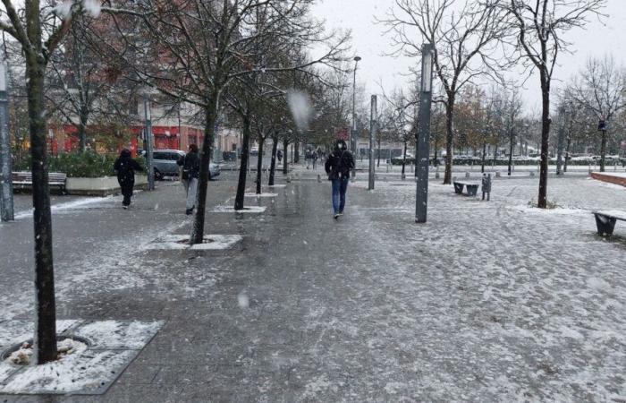 Tormenta Caetano: todavía 47.000 hogares sin electricidad