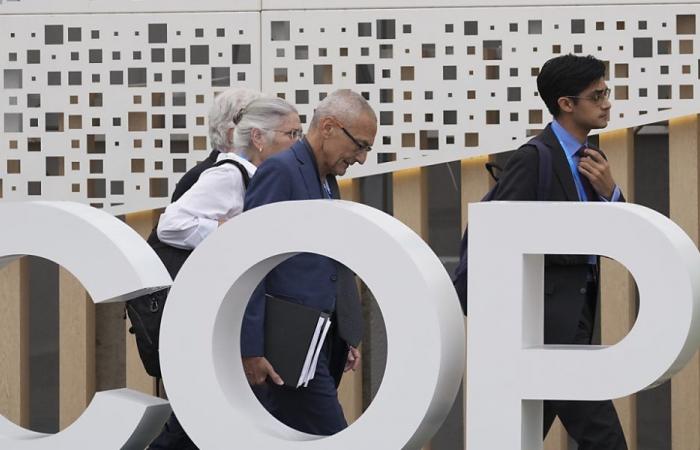 Acuerdo COP29: la delegación suiza habla de un “éxito”